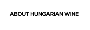 About Hungarian Wine
